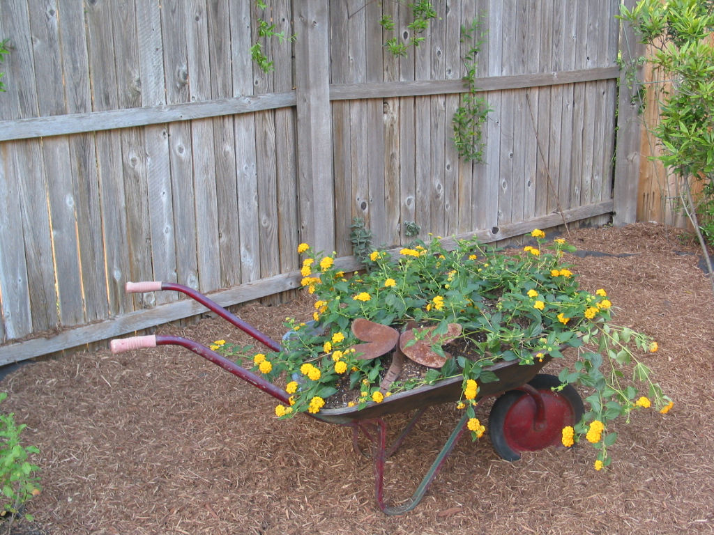 [Spring+2007+058.jpg]