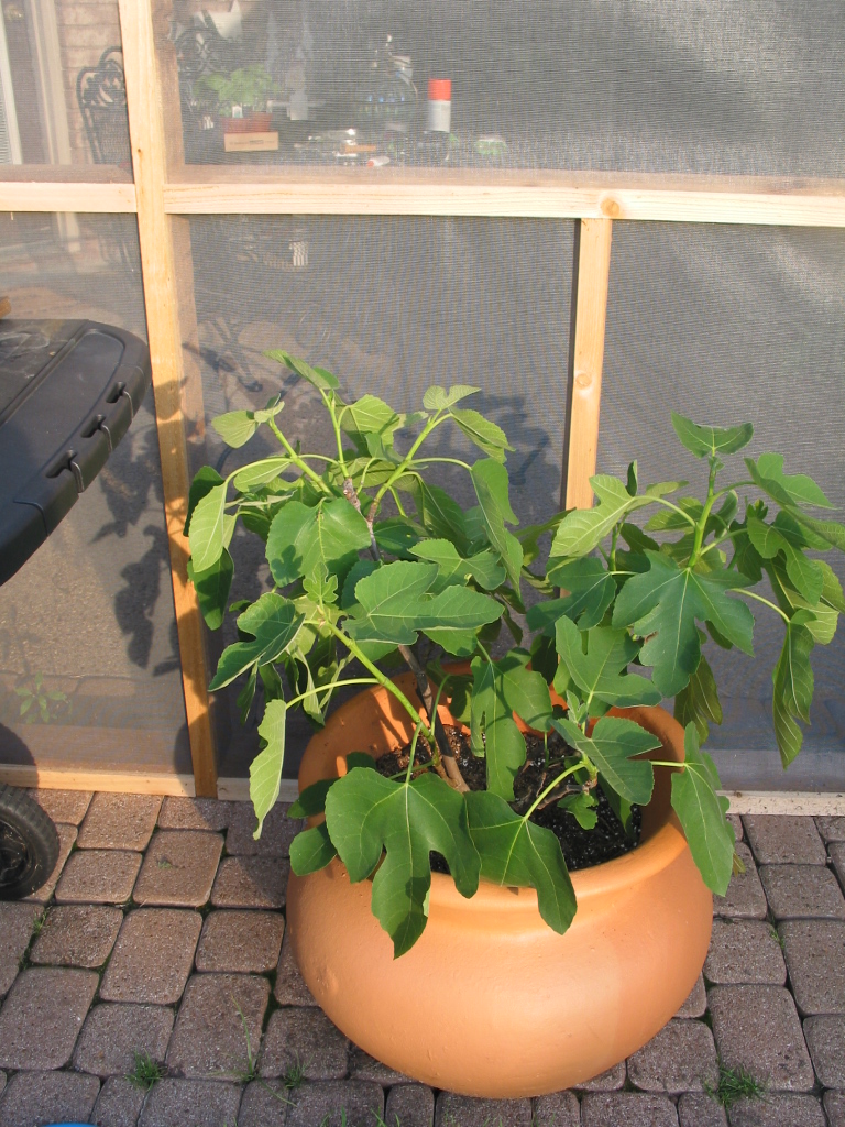 [Spring+2007+063.jpg]