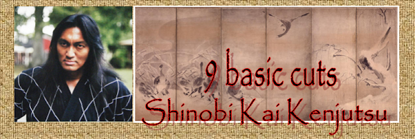 Kenjutsu Techniques (9 Basic Cuts)