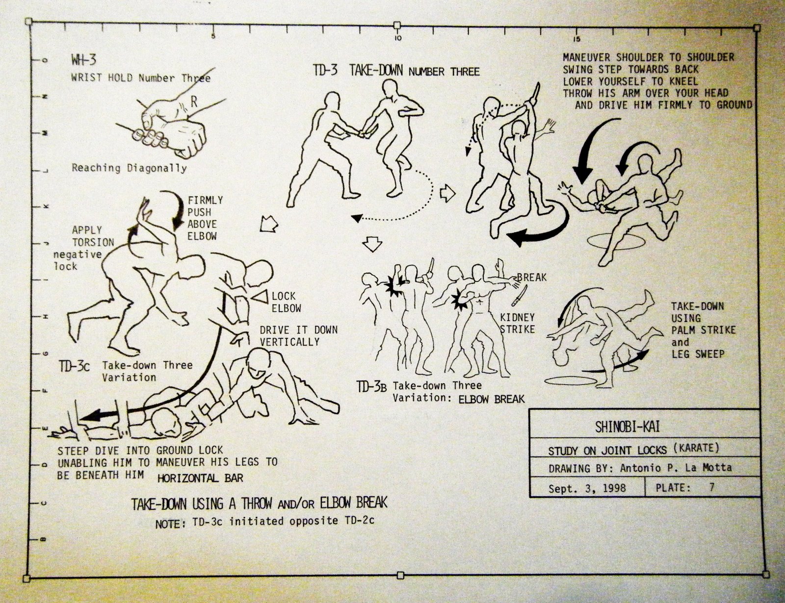[2009_0102Castles0029.JPG]