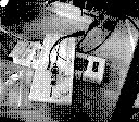 [01203.bmp]