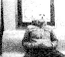 [00805.bmp]