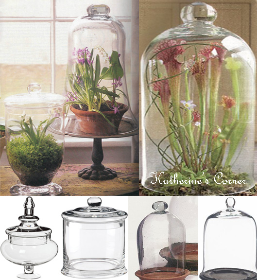 Gardens Under Glass A Craft Project Katherines Corner