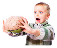 http://4.bp.blogspot.com/_3Z8feJhp8Xo/TK8ow-m0FXI/AAAAAAAAAak/1pZ_tJIG2qw/s1600/child-brain.jpg