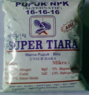 polewali sejahtera polewali sejahtera