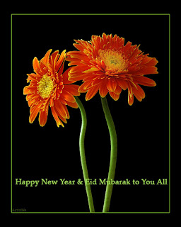 happy eid wishes with flowers