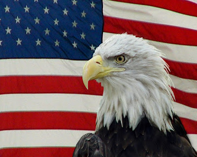 Patriot Day Greeting Cards 2008
