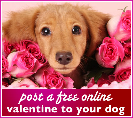 online valentines day card