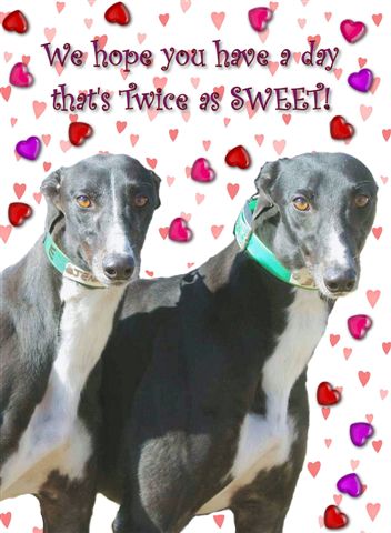 Posted by Valentine Cards Puppies And Valentines. Posted by Valentine Cards