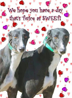 twin pets for valentine