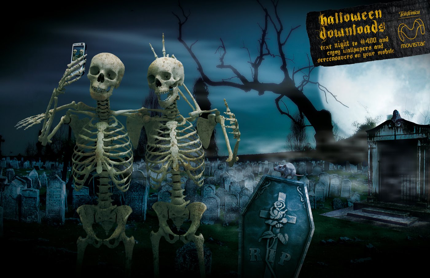 http://4.bp.blogspot.com/_3_2FCxXqZPQ/TKzPe3QimTI/AAAAAAAAQiI/AmRsXglRcgs/s1600/Halloween-Dancing-Skeleton-Festive-Invitation.jpg