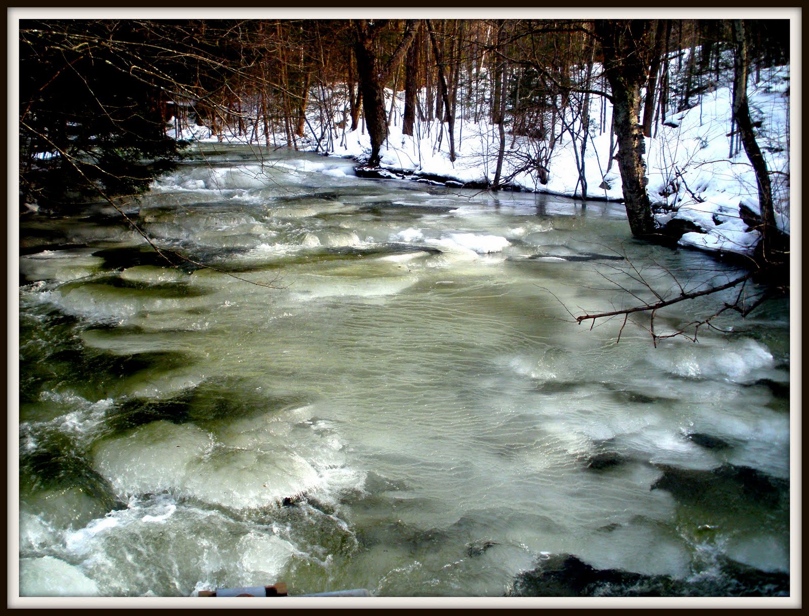 [hogtownriver4.jpg]