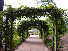 Garden Arches