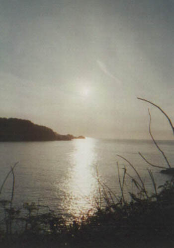 [devon2.JPG]