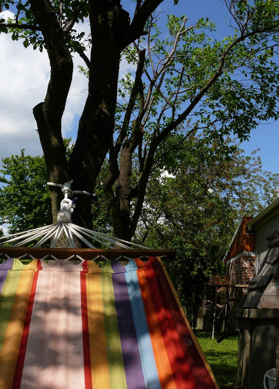 [P1030629_.jpg]