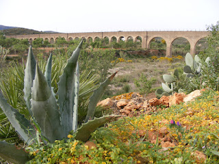 Ganadores concurso de fotografia Perin 2011