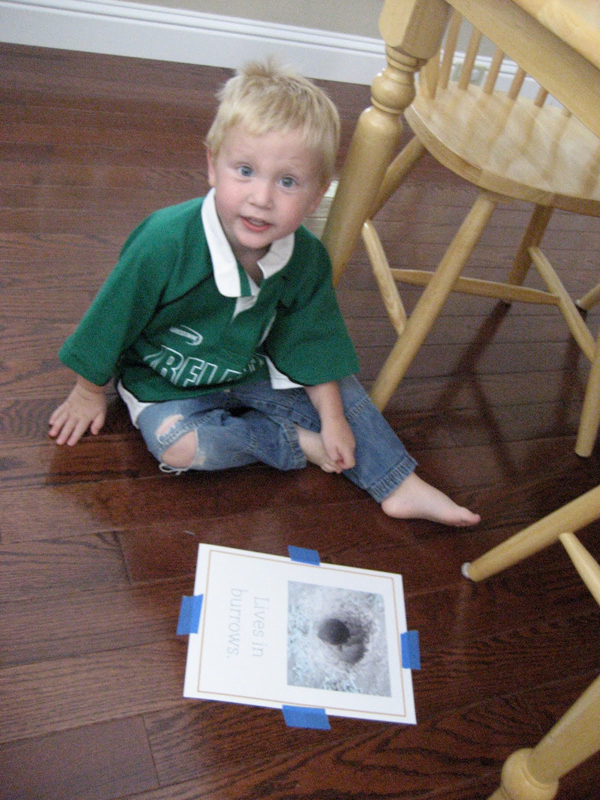 Toddler Approved! Hunt for Owl Homes!