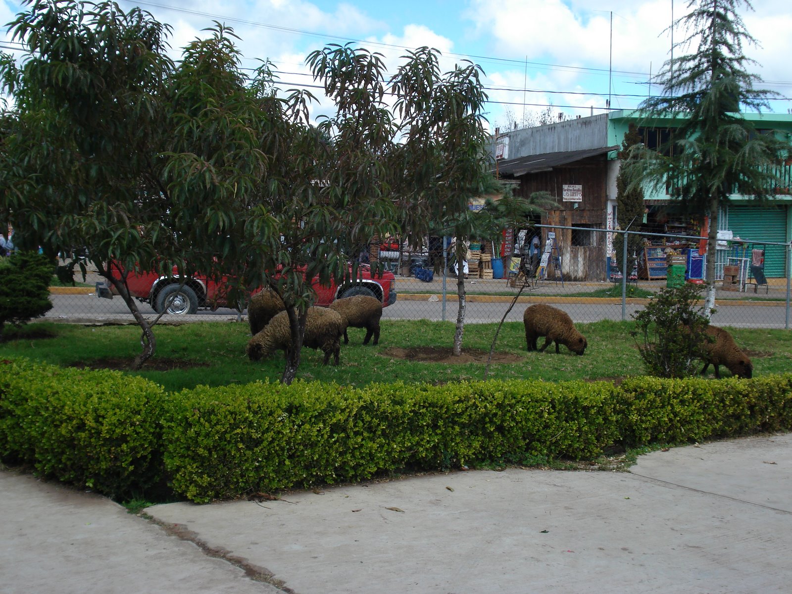 MONSEÑOR BIZARRO: Podadoras de césped revolucionarias