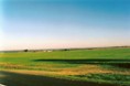 [Machede(Alentejo)1994(1).jpg]