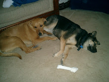 Tro and Indy