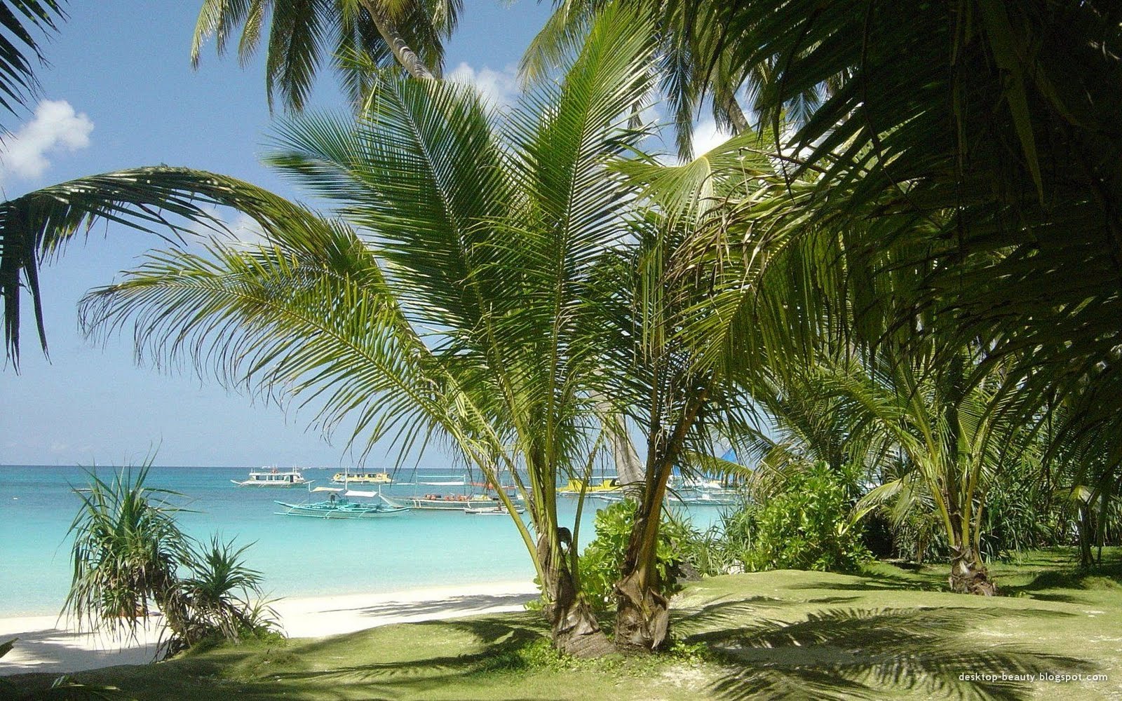 http://4.bp.blogspot.com/_3f95iVVUx6I/StH4teN7_rI/AAAAAAAANlw/Hvy1MmZD10g/s1600/boracay_white_beach2.jpg