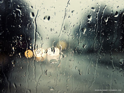 Rain Wallpaper landscape photo