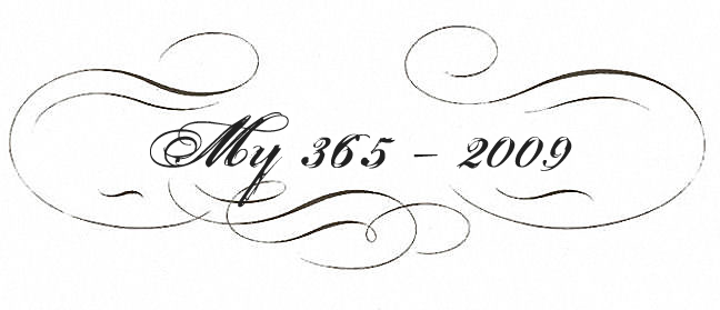 My 365 - 2009