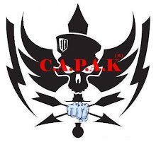 LOGO CAPAK