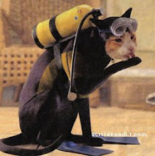 Scuba Kitty