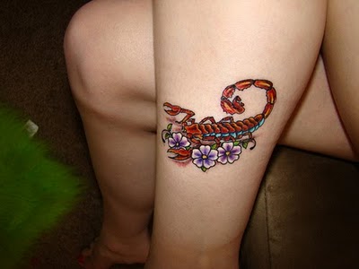The fifth of my cute tattoo designs for girls is this awesome scorpion The fifth of my cute tattoo designs for girls is this awesome scorpion