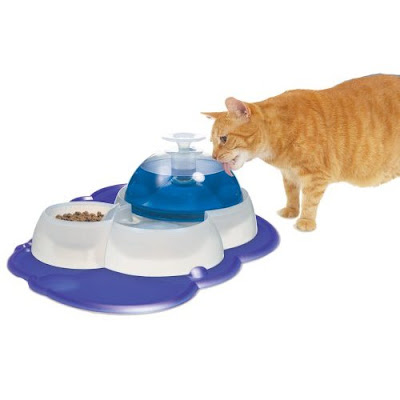 drinking water fountain for cats