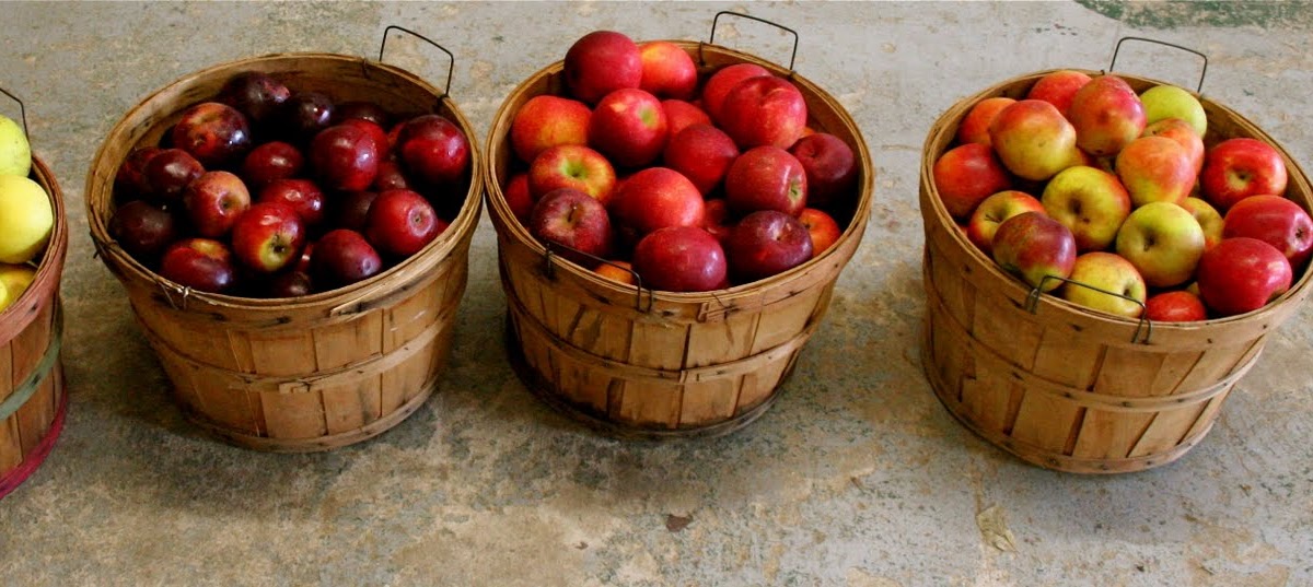 in the pantry Crab Orchard