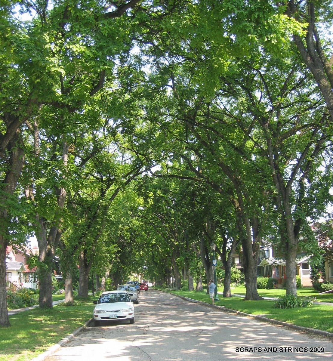 [Brenda's+neighborhood]