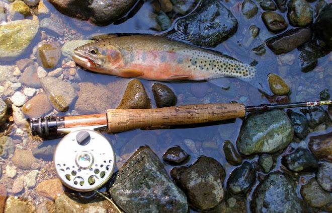 West slope Cutthroat