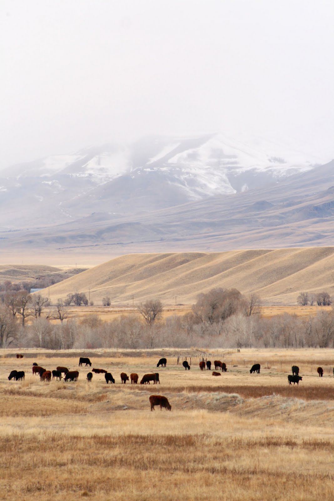 Swv Its About Time Zip