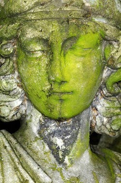 Susan Martin - Untitled Host 06 - 2009