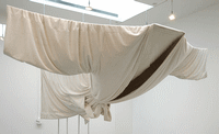 Eric Wesley - SPAFICE:Robe - synthetic material - Variablex240x265 in - 2007
