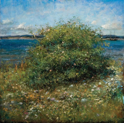 Jonny Andvik - Roser I Sol