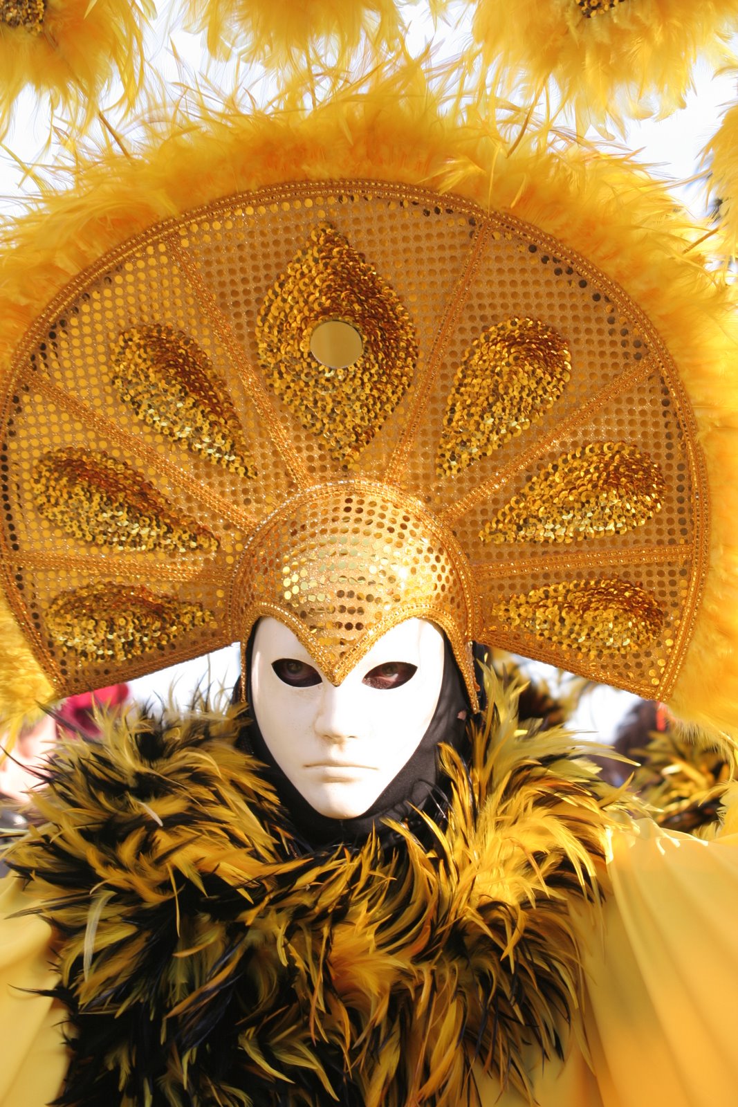 [Carnevale+2008+046.jpg]
