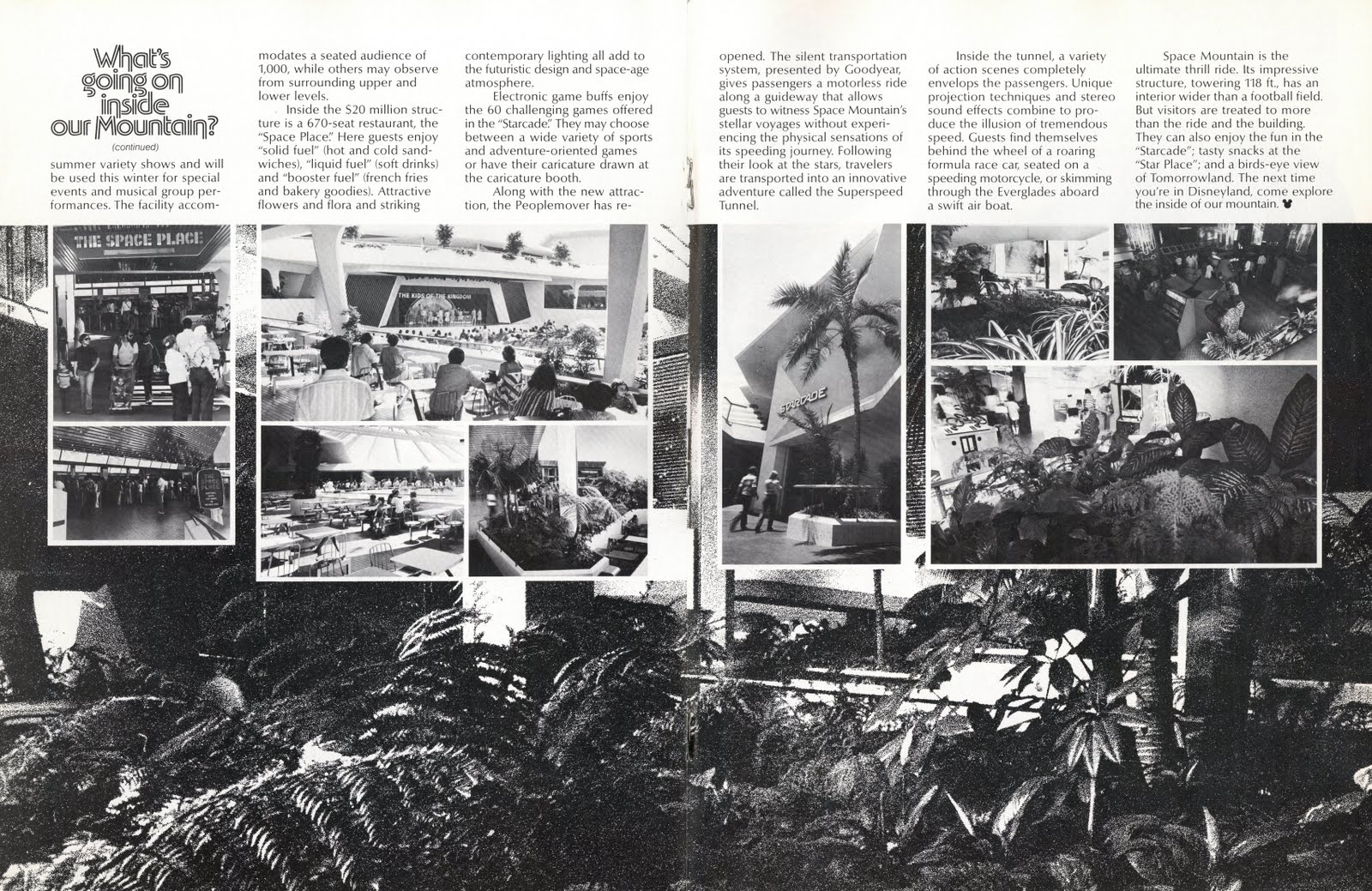 [DNEW_wint78_spacemt_2.jpg]