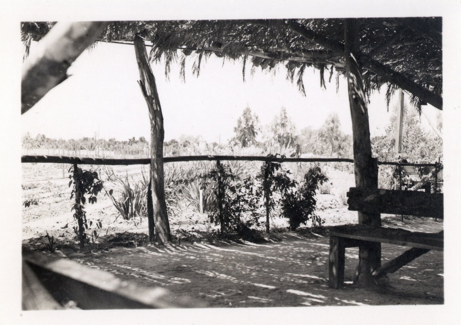 [Knotts_farmview.jpg]