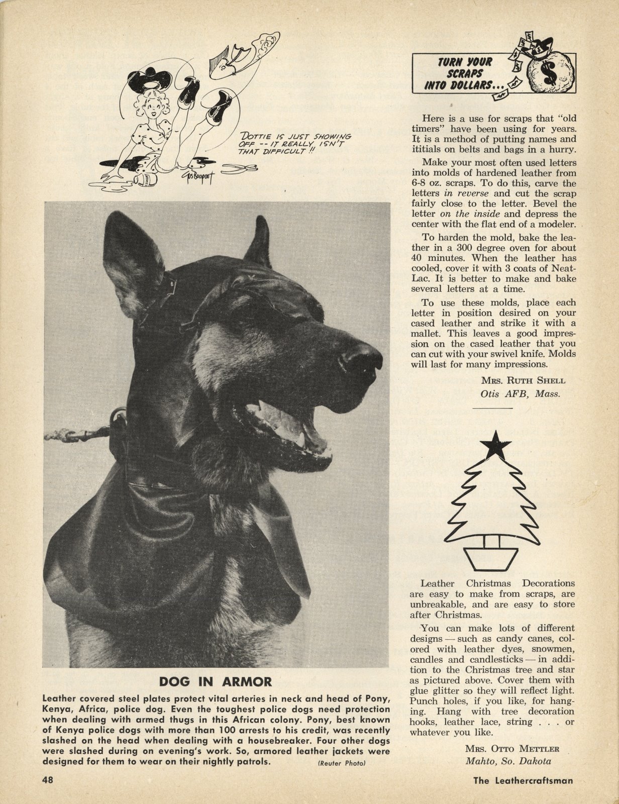 [leather+to+dl+dog.JPG]