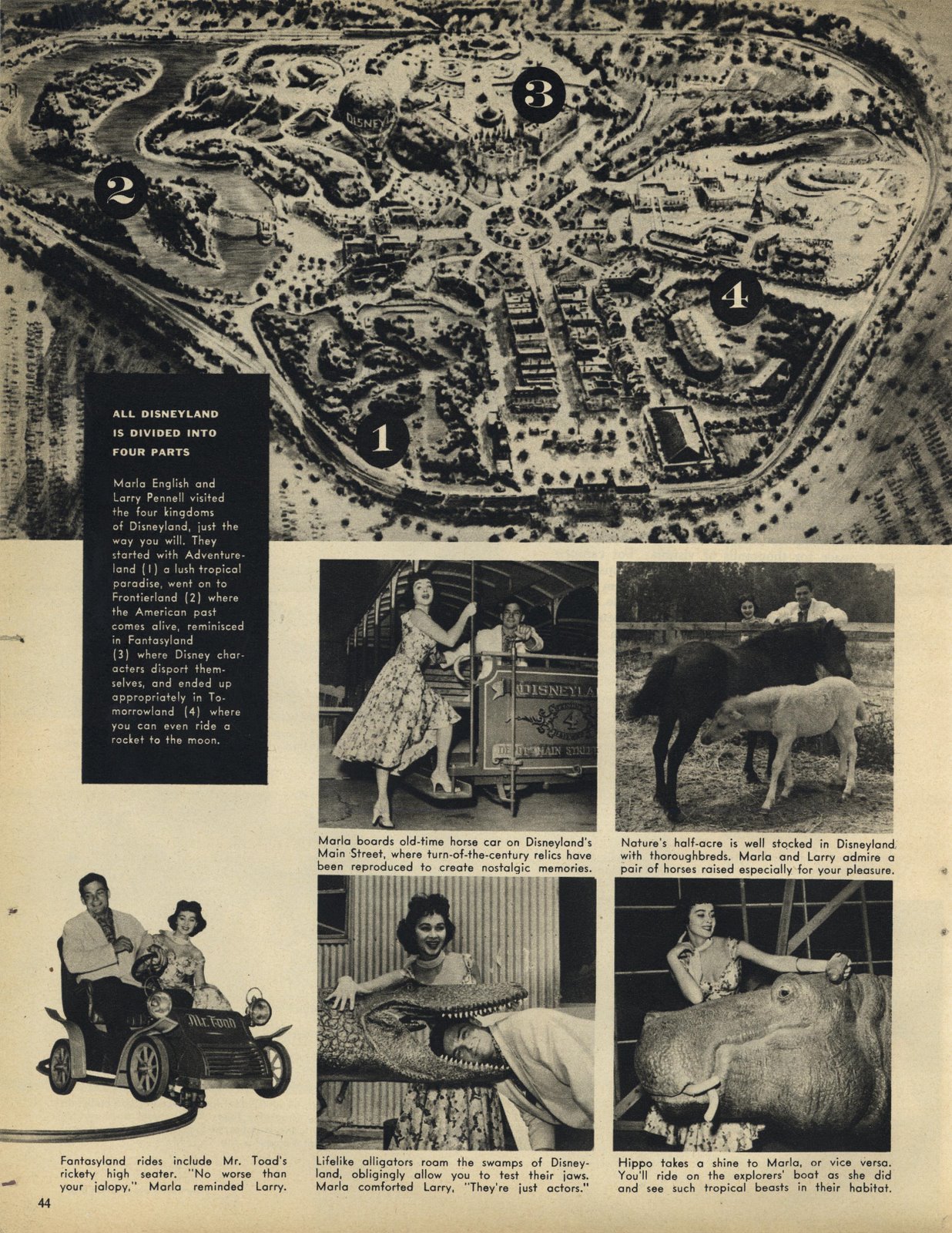 [5+Modern+SCreen+1955_DL_3.jpg]