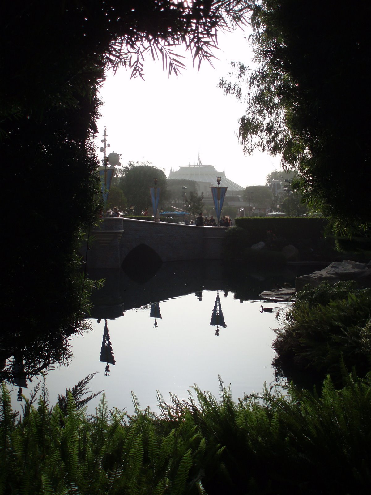 [1+morning+PC040002.JPG]