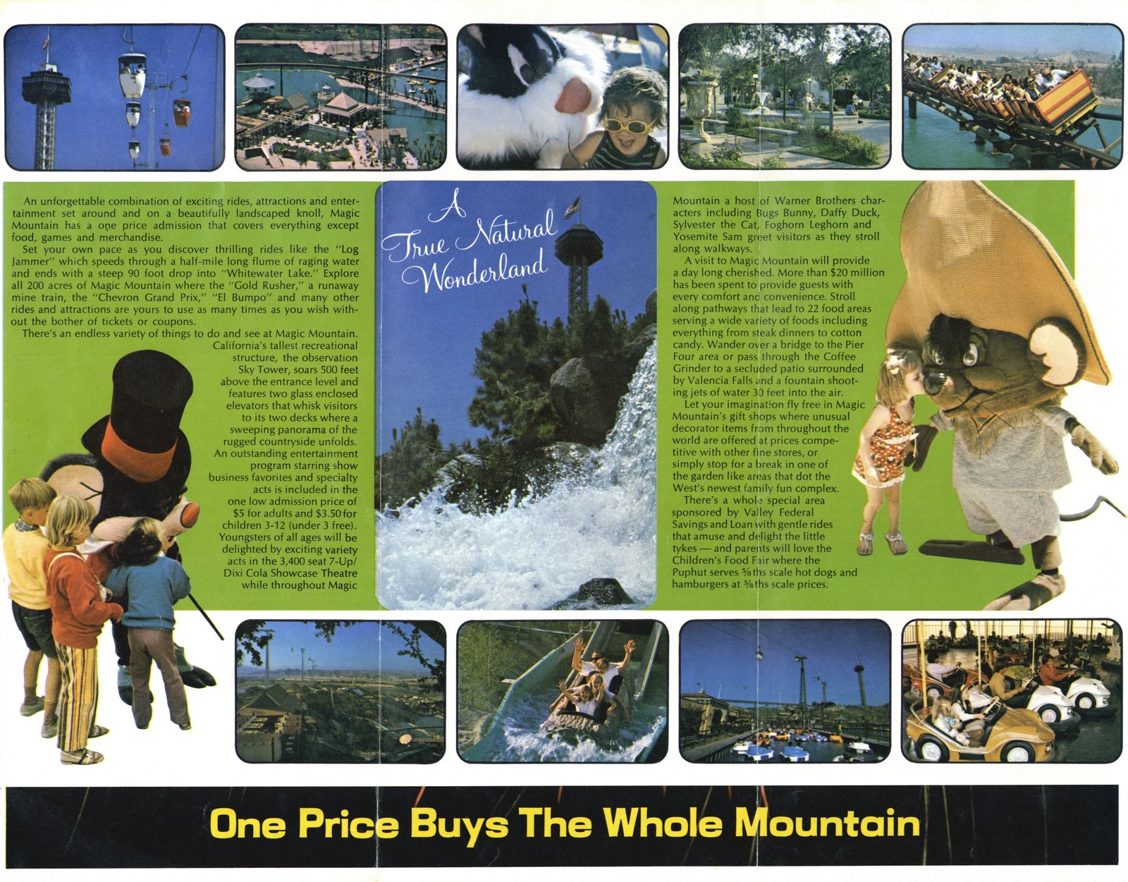 [MM1971brochure_003.jpg]