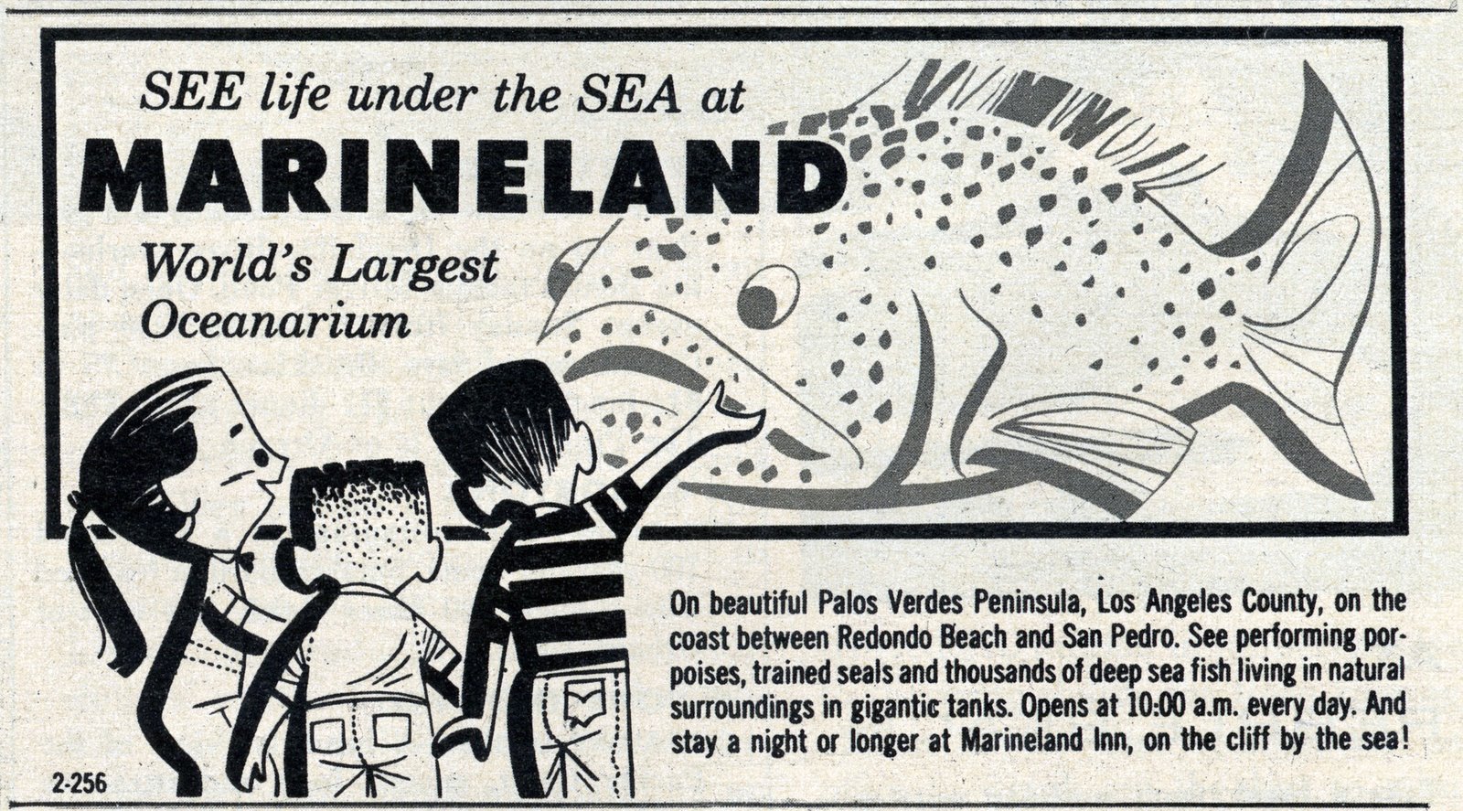 [Fortnight+revist_55_marineland.jpg]
