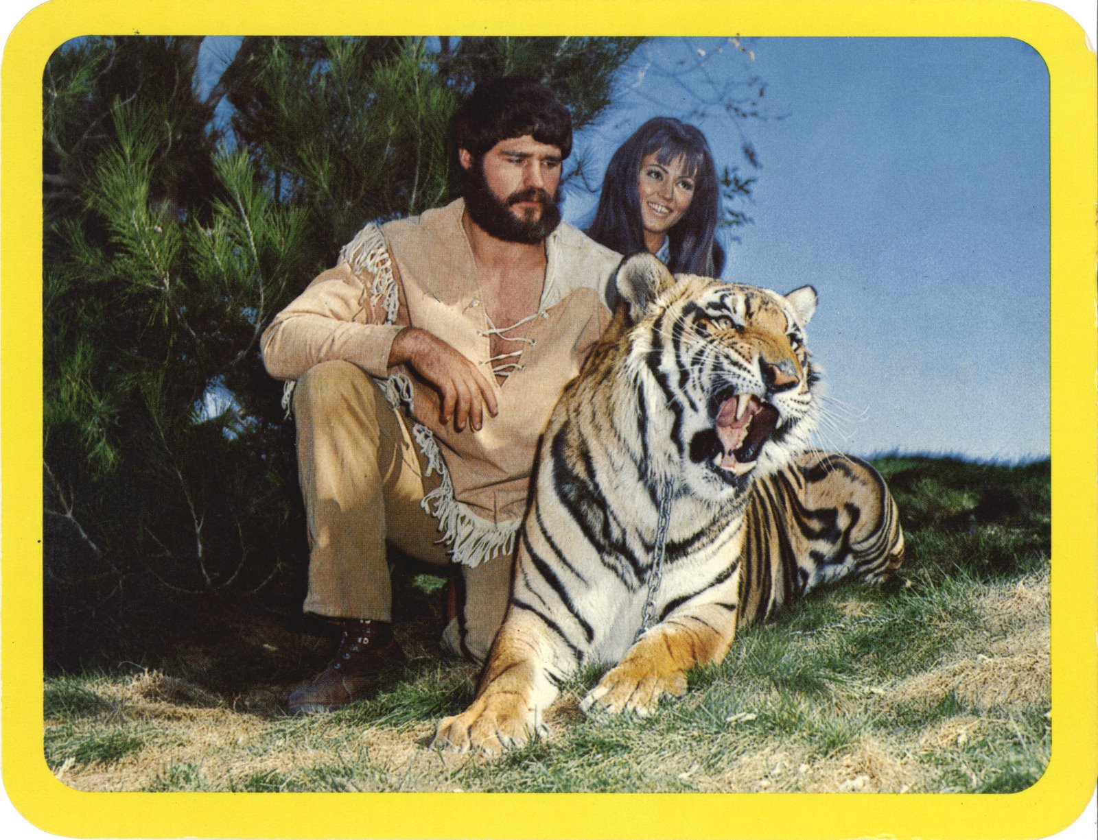 [mm+post+cards_tiger.jpg]