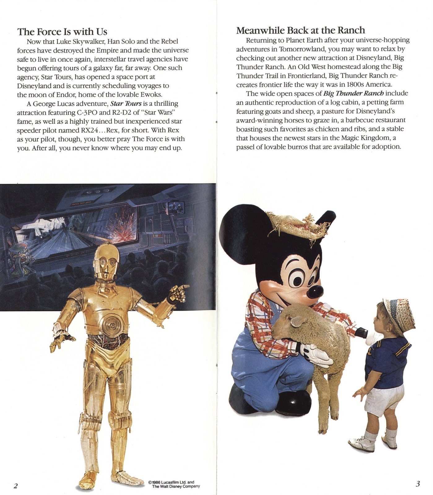 [DL+GLossy+Brochure_003.jpg]