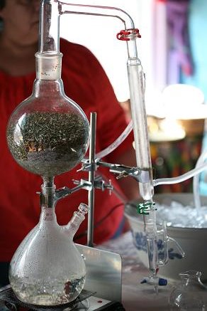 [distillation.JPG]