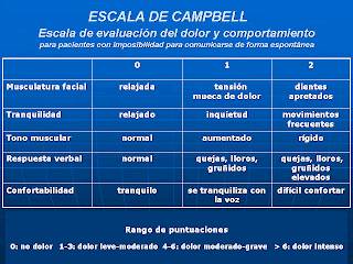 Escala Del Dolor